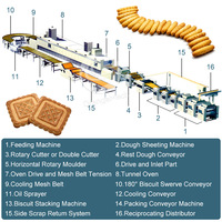 ORME Technologie entièrement automatique Ligne de production de biscuits mous Machine de fabrication de biscuits