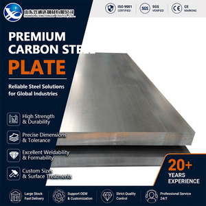 Painting A572 Hot Rolled Cold Rolled 2mm 1500mm Painting EN 10025 Carbon Steel Sheet for Pressure Vessel - Product Image 1