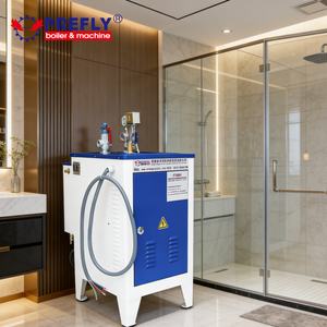 Générateur de vapeur électrique pour douche 3 kW, chaudière à vapeur instantanée portable pour salle de bain et usage domestique - Product Image 1