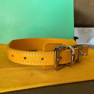 Ensemble d'accessoires <span class=keywords><strong>pour</strong></span> animaux de compagnie en cuir de créateur de luxe <span class=keywords><strong>Collier</strong></span> de chat et de <span class=keywords><strong>chiot</strong></span> à la mode avec motif imprimé et laisse de chien de décoration de rivet - Product Image 4