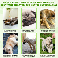 Complément alimentaire liquide probiotique naturel 3 en 1 pour chiens, marque privée, avec enzymes digestives