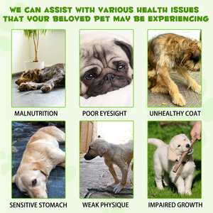 Private Label Natural 3 en 1 Pet Pre and Probiotic Drops Suplemento Líquido Probiótico para Perros con Enzimas Digestivas - Product Image 2