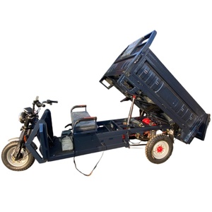 Three Wheel Electric Tricycle Electric Cargo Tricycle Electric Tricycle Adult Without Battery - Product Image 5