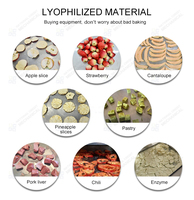 Machine de lyophilisation industrielle pour vers de sang, vers de mer, nourriture pour animaux de compagnie, vers tubifex