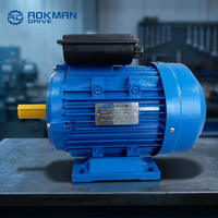 Moteur asynchrone monophasé à condensateur série YL 220V 0,75kW 5,5kW pour pompe à eau