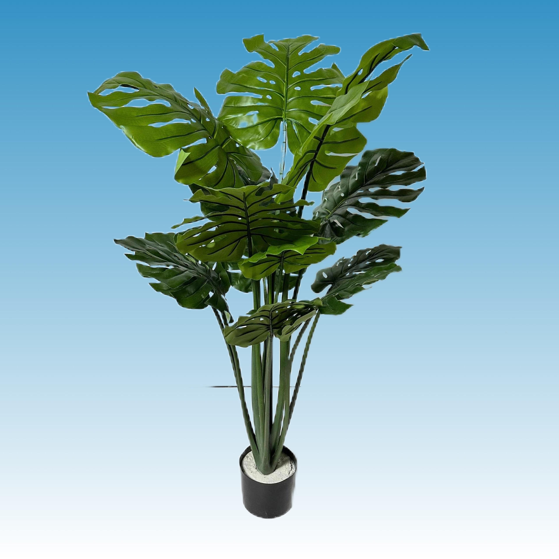 120cm tortue tuftée dos 11 feuilles avec bassin noir