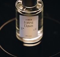 Diffuseur 100 ml LIBER, parfum d'ambiance coréen pour la maison, arôme longue durée, parfum haut de gamme, inspiré de la forêt, emballage élégant