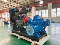 Pompe d'irrigation à carter séparé pour moteur diesel de 8 pouces, 10 pouces et 12 pouces