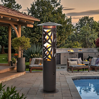 Chauffe-terrasse extérieur autonome en acier de 1 mètre de haut, à gaz ou à granulés de bois, avec tube en verre