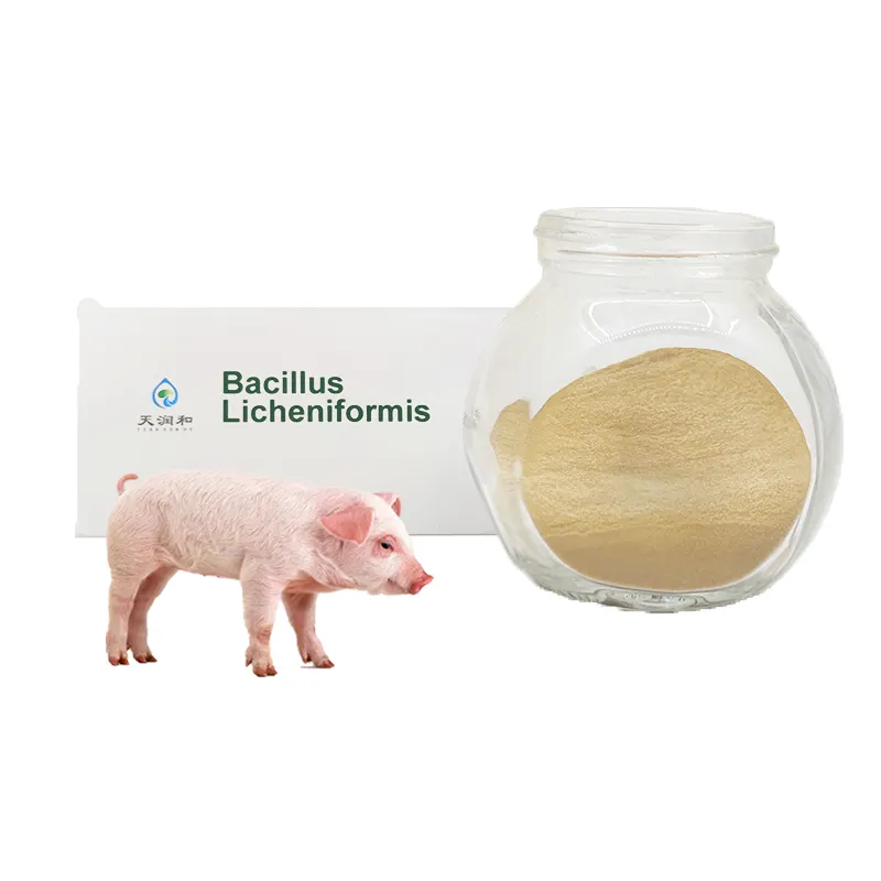 Кормовой премикс Bacillus Licheniformis для биоудобрений для свиней