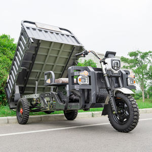 Tricycle de cargaison électrique 1000W EEC 1000KG Capacité de charge de charge Tricycle ouvert à 3 roues - Product Image 1