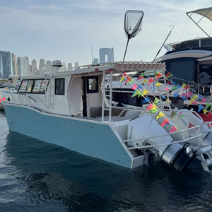 Catamarán de aluminio de lujo de alta velocidad Sea King de 10 m para pesca y navegación - Product Image 1