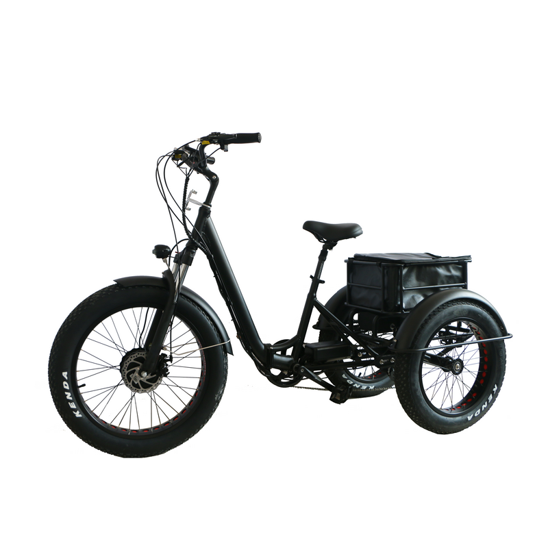 3輪電動自転車 250W EU対応 ファットタイヤ カーゴトライク