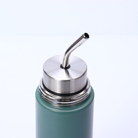 Bouteille d'eau isotherme en acier inoxydable de 750 ml pour Yerba Maté avec infuseur à thé amovible – Idéale pour le thé en vrac