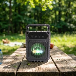 Prodotti Economici: Altoparlante Karaoke Portatile, Lettore Musicale con Altoparlante da 4 Pollici 4 Ohm 15W, con Microfono e Bluetooth - Product Image 1