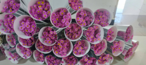 Fleurs de chrysanthème séchées naturelles 'White Daisy' à longue durée de vie pour la décoration intérieure, la Saint-Valentin, les mariages et comme garniture de <span class=keywords><strong>millet</strong></span> - Product Image 5