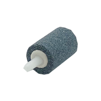 10 pcs/Lot Diffuseur Pierre pour Ozone Eau et Huile