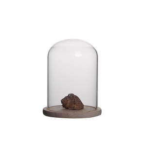 Rõ ràng <span class=keywords><strong>Glass</strong></span> cloche hiển thị <span class=keywords><strong>Dome</strong></span> với gỗ cơ sở trang trí <span class=keywords><strong>Glass</strong></span> Bell Jar cây Huy chương Antique sưu tầm giáng sinh trang trí nội thất - Product Image 3