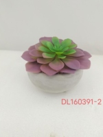Plantes succulentes artificielles Treesmas en pot de ciment à 5 couches, design personnalisable, pour intérieur/extérieur, Chine