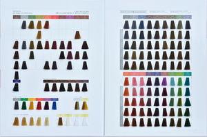 Catalogo Professionale di <span class=keywords><strong>Colori</strong></span> per <span class=keywords><strong>Capelli</strong></span> OEM ODM, Cartella <span class=keywords><strong>Colori</strong></span> per Parrucchieri - Product Image 2