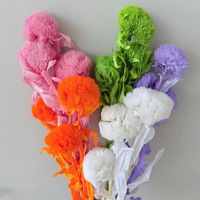 Bahan Bunga Dianthus Awetan Grosir untuk Florist, Buket Pernikahan, Rangkaian Bunga, Kerajinan DIY