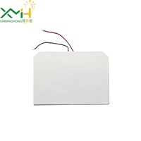 Panel de Retroiluminación LED LCD, Tamaño Personalizado, 1.8-3.6V, Garantía de 3 Años, Regulable, Temperatura de Color 5000-6500K, CRI 85, 50000 Horas, 120