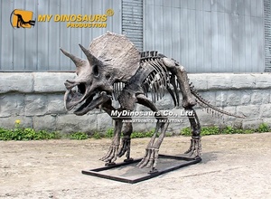 <span class=keywords><strong>Esqueleto</strong></span> de <span class=keywords><strong>Triceratops</strong></span> pequeño de fibra de vidrio para exhibición de museo My Dino DS026 - Product Image 3