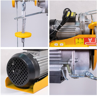 Palans électriques à câble micro 100m 220V de 1000 kg pour grue de levage
