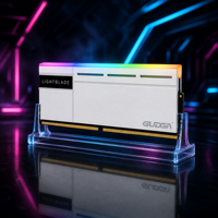 RAM DDR5 16 Go 5600 MHz RGB pour ordinateur de bureau, mémoire RAM pour jeux