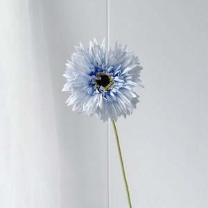 ดอกเจอร์เบอร์ราสีสันสดใสสำหรับจัดดอกไม้ <span class=keywords><strong>ราคา</strong></span>สุดคุ้ม โปรโมชั่นลดราคา - Product Image 5