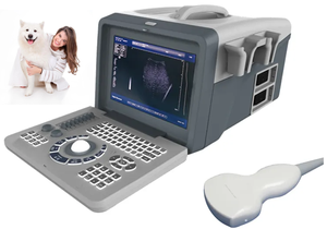 Veterinaire Echografie Apparatuur 10 Inch Volledig Digitale Draagbare B/W Ultrasone Scanner Machine - Product Image 5