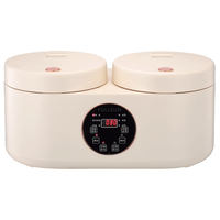 Appareils ménagers multifonctions 2 en 1 Smart 2,0 l grande capacité 2 pots intérieurs Double cuiseur à riz