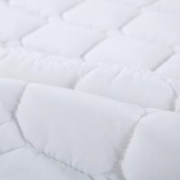 Factory Direct Sale Hotel Einfacher weißer Gänse betts chutz im modernen Stil Mahjong Mat Thick 90% Goose Luxury Anti-Bacteria Home