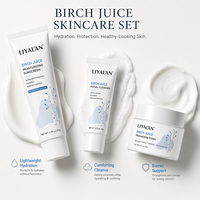 Kit hydratant 3 étapes à la sève de bouleau pour soins de la peau, marque privée, avec chouchou et coffret cadeau personnalisé