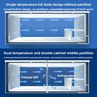 Réfrigérateur commercial à température unique Congélateur horizontal de grande capacité Fresh-Keeper avec processus de congélation à haute efficacité