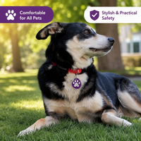 Großhandel PeaKeen Langlebiges Anpassbares NFC Smart Haustier-ID-Tag mit QR-Code, Tiermuster, Personalisiertes Niedliches Kristall-Hundemarke aus Polyester