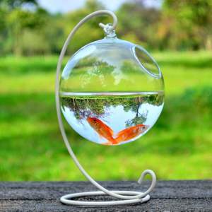 Transparant Creatief Hangend Type Glazen <span class=keywords><strong>Aquarium</strong></span> Accessoires Tafelblad Klein <span class=keywords><strong>Aquarium</strong></span> - Product Image 3