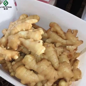 Chất Lượng Cao Gừng Tươi Cây Trồng Mới Bán Buôn Từ Trung Quốc Nhà Cung Cấp Hight Chất Lượng Sản Phẩm Xuất Khẩu - Product Image 4