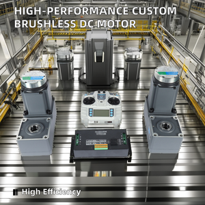 60mm 12V <span class=keywords><strong>24V</strong></span> 48V 60W 30W <span class=keywords><strong>Motor</strong></span> de CC de cepillo de alto par para puerta de paso - Product Image 6