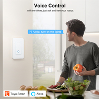 Interruptor de luz de pared Wifi inteligente de EE. UU. Aplicación y control de voz con configuración de tiempo Interruptor de PC de un solo polo 10A Red NFC