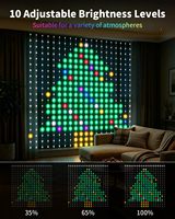 Rideau lumineux intelligent à pixels RGB, 400 LED, alimenté par USB, contrôle via application, commande vocale, synchronisation musicale DIY, pour fenêtre et fond de scène