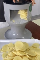 Commerciële industriële keuken groentesnijder elektrische motor zoete aardappelchips snijmachine