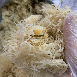 Mousse d'algues dorée de haute qualité 100% biologique naturelle du Vietnam / Mousse d'algues irlandaise / Mousse d'algues sauvage séchée au soleil Prix bas - Product Image 1