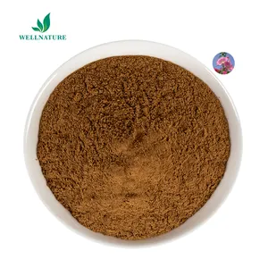 Wholesale China Suppliers Organic Wasabi Plant Extract 10:1 Concentrated Wasabi Extract Powder