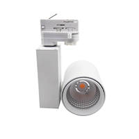 Lampe sur rail led à intensité modulable 20W, Spot lumineux, wi-fi, pour le marché saint-valentin/NZ