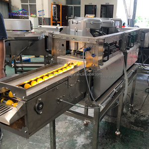 Línea completa de procesamiento de huevos líquidos Carga de huevos Lavado Seco Romper Separación Maquinaria de producción - Product Image 3