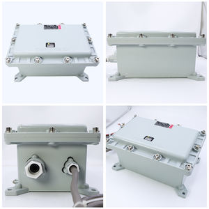 Télécommande de grue radio industrielle à double vitesse à 6 canaux avec récepteur à code fixe Tendances mondiales - Product Image 4