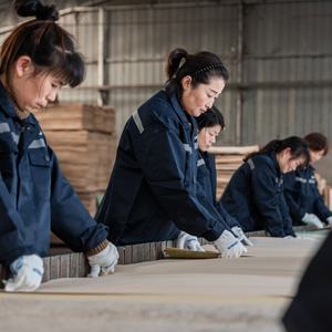 Arabie Saoudite <span class=keywords><strong>Maroc</strong></span> Film Face Coffrage Contreplaqué 18mm Vert Noir Brun Rouge PVC Omani Standard - Product Image 4