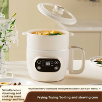 Marmite Électrique Pliable 2L avec Revêtement en Titane, Mini Cuiseur Multifonction, Cuiseur à Riz Pliable et Cuiseur Vapeur