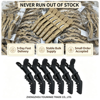 Pinces de sectionnement pour salon de coiffure, pinces crocodiles pour extensions et coiffage, barrettes pour la coiffure